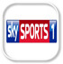 Watch Sky Sports 1 Live Streaming Online EventosHQ
